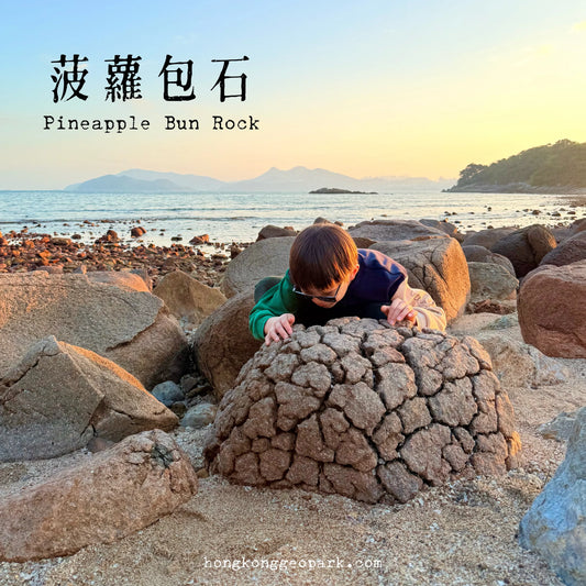  (遊艇*2.5小時)香港世界地質公園雙洞火山觀光導賞團