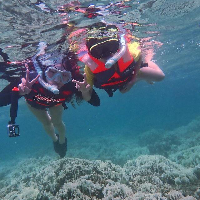 Hong Kong Sharp Island West Guided Snorkelling Experience